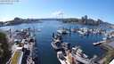 ./images/victoria/wharf/20240502/wharf20240502_155500.jpg