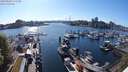 ./images/victoria/wharf/20240502/wharf20240502_171501.jpg