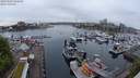 ./images/victoria/wharf/20240503/wharf20240503_200501.jpg