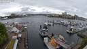 ./images/victoria/wharf/20240505/wharf20240505_124500.jpg