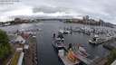 ./images/victoria/wharf/20240505/wharf20240505_125500.jpg