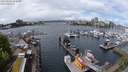 ./images/victoria/wharf/20240506/wharf20240506_122500.jpg