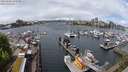 ./images/victoria/wharf/20240506/wharf20240506_123500.jpg