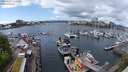 ./images/victoria/wharf/20240507/wharf20240507_125500.jpg