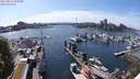 ./images/victoria/wharf/20240512/wharf20240512_155000.jpg