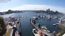 ./images/victoria/wharf/20240512/wharf20240512_155501.jpg