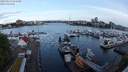 ./images/victoria/wharf/20240513/wharf20240513_062501.jpg