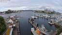 ./images/victoria/wharf/20240513/wharf20240513_112500.jpg