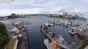 ./images/victoria/wharf/20240513/wharf20240513_114500.jpg