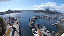 ./images/victoria/wharf/20240513/wharf20240513_162500.jpg