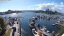 ./images/victoria/wharf/20240513/wharf20240513_164500.jpg