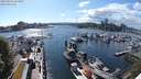 ./images/victoria/wharf/20240513/wharf20240513_165001.jpg