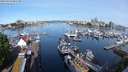 ./images/victoria/wharf/20240514/wharf20240514_085500.jpg