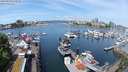 ./images/victoria/wharf/20240514/wharf20240514_114501.jpg