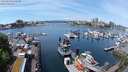 ./images/victoria/wharf/20240514/wharf20240514_125500.jpg