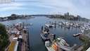 ./images/victoria/wharf/20240514/wharf20240514_144501.jpg