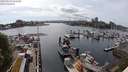 ./images/victoria/wharf/20240514/wharf20240514_162501.jpg