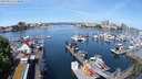 ./images/victoria/wharf/20240515/wharf20240515_112000.jpg