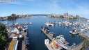 ./images/victoria/wharf/20240515/wharf20240515_114500.jpg