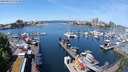 ./images/victoria/wharf/20240515/wharf20240515_121500.jpg