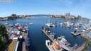 ./images/victoria/wharf/20240515/wharf20240515_122500.jpg