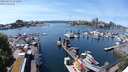 ./images/victoria/wharf/20240515/wharf20240515_141000.jpg