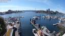 ./images/victoria/wharf/20240515/wharf20240515_153501.jpg