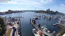 ./images/victoria/wharf/20240515/wharf20240515_163500.jpg