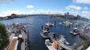 ./images/victoria/wharf/20240516/wharf20240516_152000.jpg