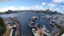 ./images/victoria/wharf/20240516/wharf20240516_152500.jpg