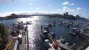 ./images/victoria/wharf/20240516/wharf20240516_172500.jpg