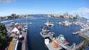 ./images/victoria/wharf/20240517/wharf20240517_105501.jpg