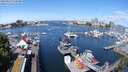 ./images/victoria/wharf/20240517/wharf20240517_110500.jpg