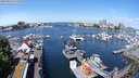 ./images/victoria/wharf/20240517/wharf20240517_111501.jpg