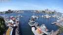 ./images/victoria/wharf/20240517/wharf20240517_113500.jpg