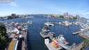 ./images/victoria/wharf/20240517/wharf20240517_114500.jpg