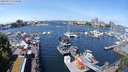 ./images/victoria/wharf/20240517/wharf20240517_115000.jpg