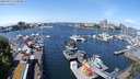 ./images/victoria/wharf/20240517/wharf20240517_120500.jpg