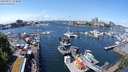 ./images/victoria/wharf/20240517/wharf20240517_124000.jpg