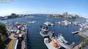 ./images/victoria/wharf/20240517/wharf20240517_130500.jpg