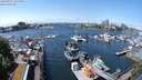 ./images/victoria/wharf/20240517/wharf20240517_131501.jpg