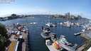 ./images/victoria/wharf/20240517/wharf20240517_134500.jpg