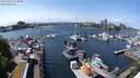 ./images/victoria/wharf/20240517/wharf20240517_135500.jpg