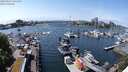 ./images/victoria/wharf/20240517/wharf20240517_141500.jpg