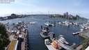 ./images/victoria/wharf/20240517/wharf20240517_143500.jpg