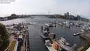 ./images/victoria/wharf/20240517/wharf20240517_154500.jpg