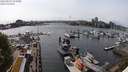 ./images/victoria/wharf/20240517/wharf20240517_155000.jpg