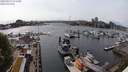 ./images/victoria/wharf/20240517/wharf20240517_155500.jpg