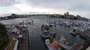 ./images/victoria/wharf/20240517/wharf20240517_180000.jpg