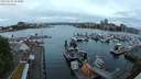 ./images/victoria/wharf/20240518/wharf20240518_054000.jpg